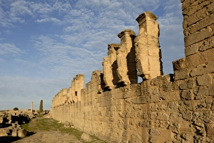 Cyrene Prints: Skyrota, Cyrene