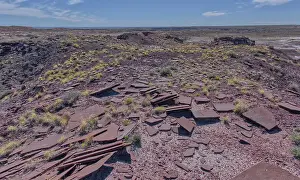 Awe Inspiring Prints: Slabs of brown sandstone on the summit of Crystal Mesa west of Hamilili Point in Petrified Forest National Park