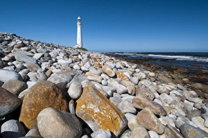 Light Houses Prints: Slangkoppunt Lighthouse, Kommetjie, Cape Town, South Africa, Africa