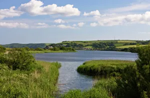 Images Dated 11th August 2008: Slapton Ley, South Devon, England, United Kingdom, Europe