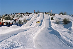 Sled Prints: Sledding during winter carnival, Quebec, Canada, North America