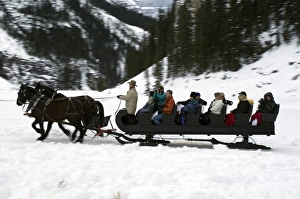 Images Dated 26th February 2008: Sleigh ride at Chateau Lake Louise Hotel, Lake Louise, Alberta, Canada, North America