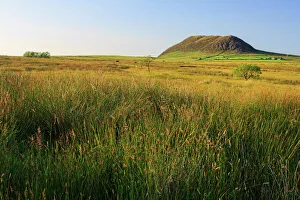 Meadow Prints: Slemish Mountain, County Antrim, Ulster, Northern Ireland, United Kingdom, Europe