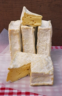 Paper Prints: Slices of Pont l Eveque Cheese