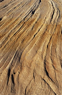 Mid West Prints: Slickrock, Zion National Park