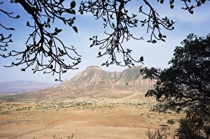 Tigre Prints: On the slopes of Mount Workamba, Tambien region, Tigre province, Ethiopia, Africa