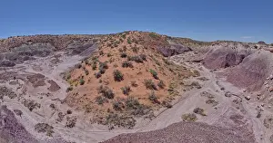 Dusty Prints: A sloping red sand dune above Hamilili Wash in Petrified Forest National Park