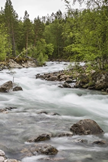 Tysfjord Prints: Slow motion blur detail of a raging river in Hellmebotyn