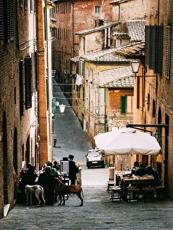 Siena Prints: Small alleyway with quaint restaurant in Siena, Tuscany, Italy, Europe
