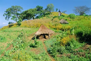 Ethiopia Prints: Small farm in the Metu region, Ethiopia, Africa