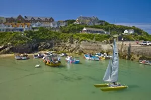 Small fishing boats and a catamaran at low tide, Newquay harbour, Newquay