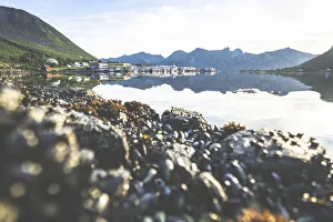Senja Prints: Small fishing harbor of Senjahopen lit by sunrise, Mefjord, Senja, Troms county, Norway
