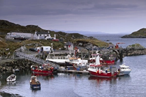 Harris Prints: Small fishing harbour