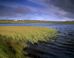 Shetland Island Prints: Small loch and houses near Greenland (Burraland) near Walls