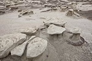 Images Dated 25th December 2010: Small mushroom formations in the badlands, Bisti Wilderness, New Mexico, United States of America