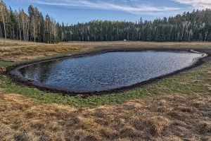 Surface Prints: Small pond in Little Pleasant Valley area of Kaibab National Forest in Arizona near Grand Canyon North Rim