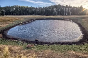 Grand Prints: Small pond located in Little Pleasant Valley of Kaibab National Forest in Arizona with trees in the background