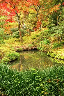 Diverse Prints: Small pond surrounded by vibrant autumn colors and lush greenery at Tenryu-ji Temple