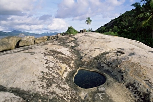 Mahe Prints: Small pool on rock