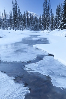 Ice Formation Prints: Small Stream in Winter, Banff National Park, Alberta, Canada, North America