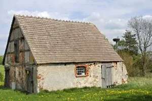 Images Dated 1st May 2010: Small traditional barn, with nesting white stork (Ciconia ciconia) nearby