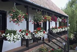 Hanging Basket Prints: A small traditional village which is a UNESCO World Heritage Site