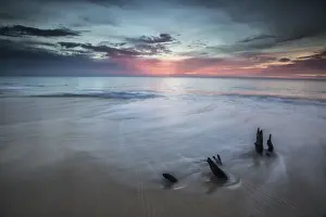 Driftwood Prints: Small tree trunks make a unique setting at sunset on Fryers Beach