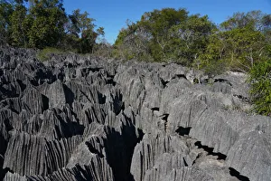 Jagged Prints: Small Tsingy, Tsingy de Bemaraha National Park, UNESCO World Heritage Site, Melaky Region