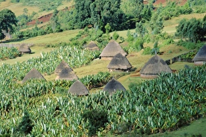 Shoa Prints: Small village in Hosana region, Shoa province, Ethiopia, Africa
