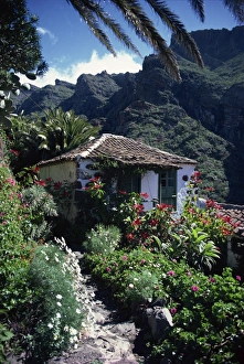Masca Prints: Small village house in Masca, Tenerife, Canary Islands, Spain, Europe