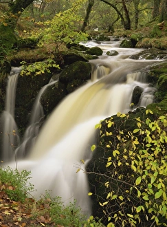 Purity Prints: Small waterfall on Aira river, Ullswater, Cumbria, England, United Kingdom, Europe