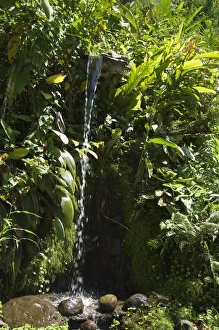 Arenal Prints: Small waterfall near Arenal, Costa Rica, Central America