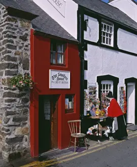 Gwynedd Prints: The smallest house in Britain, on the quayside at Conwy, the front measures 1