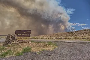 Heat Prints: Smoke from the Dragon Bravo Wildfire burning on Grand Canyon North Rim billowing off the Kaibab Plateau