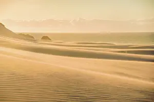 Dunes Prints: Smooth Ripples on Windswept Sand Dunes Glowing in Sunset Light at Wharariki Beach
