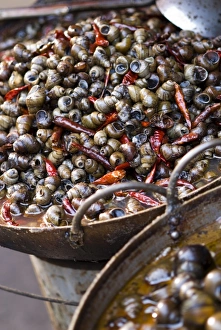 Mollusc Prints: Snails with chillies, a local delicacy, market, Lanzhou, Gansu, China, Asia