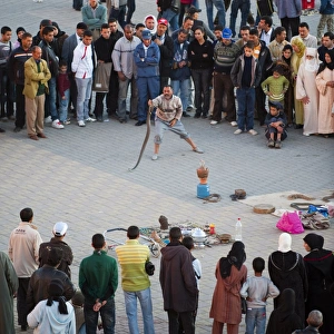 Spectator Prints: Snakes show, El Hedim Square, Meknes, Morocco, North Africa, Africa