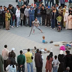Images Dated 11th November 2009: Snakes show, El Hedim Square, Meknes, Morocco, North Africa, Africa