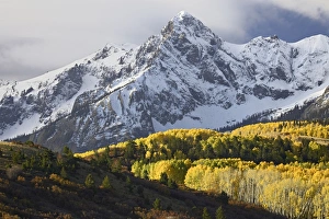 Foliage Prints: Sneffels Range with aspens in fall colors