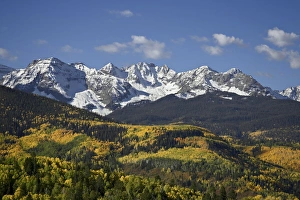 Foliage Prints: Sneffels Range with fall colors