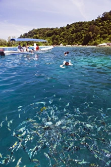 Images Dated 23rd September 2009: Snorkeling trip, Perhentian Islands, Terengganu State, Malaysia, Southeast Asia, Asia