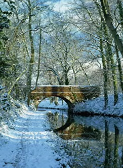 Canal Collection: Snow on the Basingstoke Canal, Staceys bridge and towpath, Winchfield