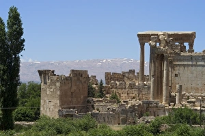 Bekaa Valley Prints: Snow capped mountains of the Anti-Lebanon Range behind