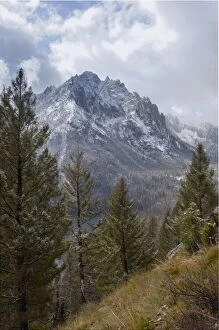 Images Dated 30th September 2009: Snow-capped Sawtooth Mountains, near Redfish Lake, Rocky Mountains, Idaho