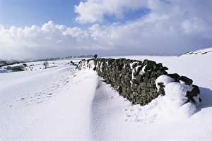 Hartington Prints: Snow coverd fields and walls, Hartington, Tissington Trail, Derbyshire