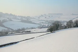 Weather Prints: Snow covered hillside pastureland
