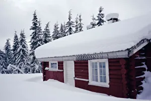 Roof Top Prints: Snow covered log built house