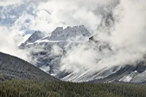 Evergreen Prints: Snow-covered mountains among the clouds