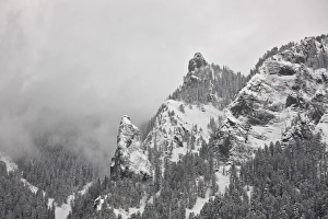 Covered Prints: Snow-covered mountains covered with fog