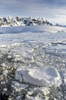 Snow-covered mountains and dense sea ice in Neumayer Channel, Palmer Archipelago